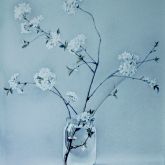 061