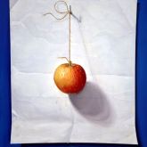 IMG 0884