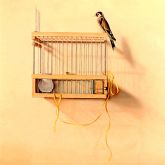 Libertad