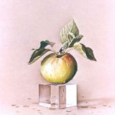 Manzana