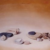 Piedrasyconchas